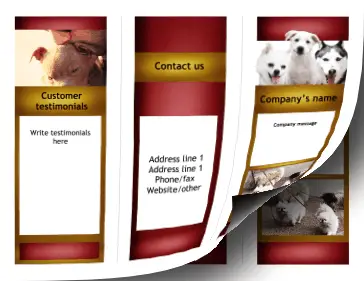 Animal Brochure-Trifold Paper