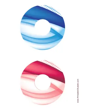 Blue Red Bold Software CD-DVD Labels Paper