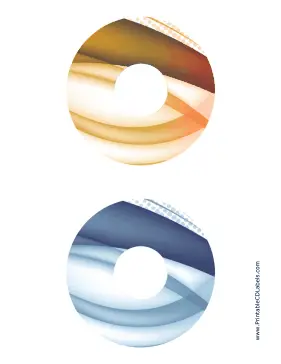 Brown Blue Strong Software CD-DVD Labels Paper