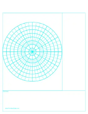 Cornell Note Paper with Polar Grid - Reversed Paper