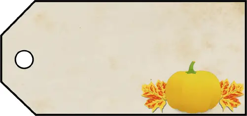Fall Pumpkin Gift Tags Paper