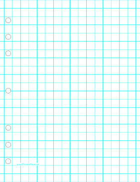 Grid Portrait Letter 2 Per Inch Hole Punch Paper