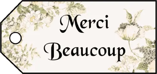Merci Beaucoup Gift Tags Paper