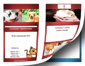 Veterinary Brochure-Bifold Paper