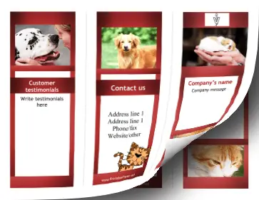 Veterinary Brochure-Trifold Paper