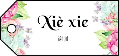 Xie Xie Gift Tags Paper