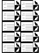 Black And White Cat Luggage Tag paper