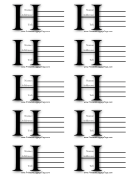 Monogram H Luggage Tag paper