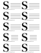 Monogram S Luggage Tag paper