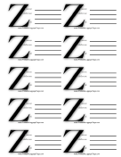 Monogram Z Luggage Tag paper