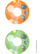 Orange Green Accessories Photography CD-DVD Labels paper