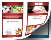 Veterinary Brochure-Bifold paper