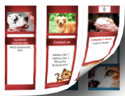 Veterinary Brochure-Trifold paper