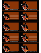 Violin Luggage Tag paper