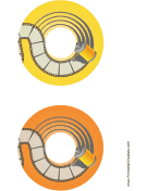 Yellow Orange Film Photography CD-DVD Labels paper